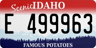 ID license plate E499963