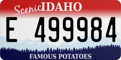 ID license plate E499984