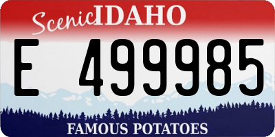 ID license plate E499985
