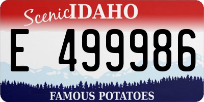 ID license plate E499986