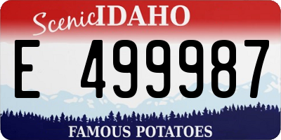 ID license plate E499987
