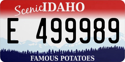 ID license plate E499989