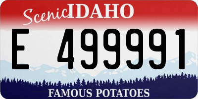 ID license plate E499991