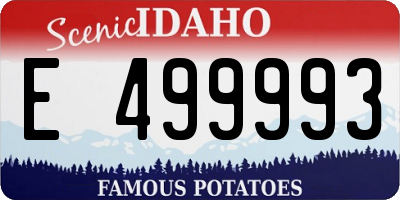 ID license plate E499993