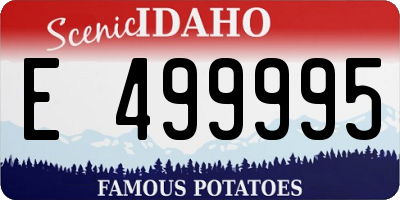 ID license plate E499995