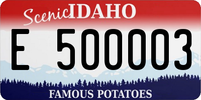 ID license plate E500003