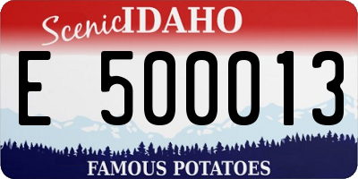 ID license plate E500013