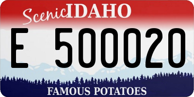 ID license plate E500020
