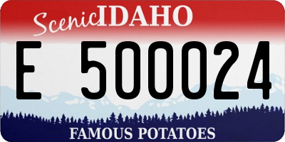 ID license plate E500024