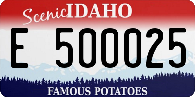 ID license plate E500025