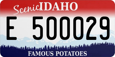 ID license plate E500029