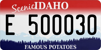 ID license plate E500030
