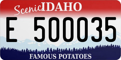 ID license plate E500035