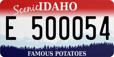 ID license plate E500054