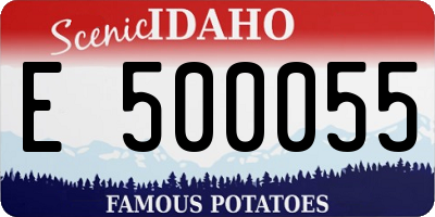 ID license plate E500055