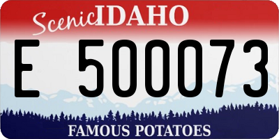 ID license plate E500073