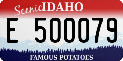 ID license plate E500079