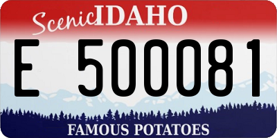 ID license plate E500081