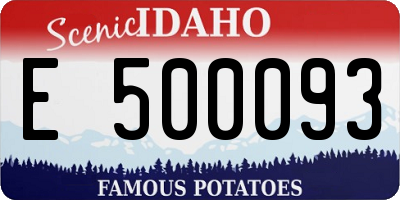 ID license plate E500093
