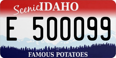 ID license plate E500099
