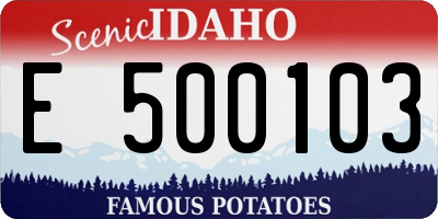 ID license plate E500103