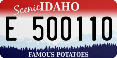 ID license plate E500110