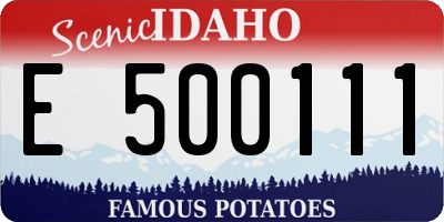 ID license plate E500111