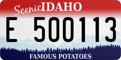 ID license plate E500113