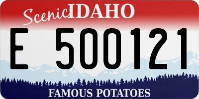 ID license plate E500121