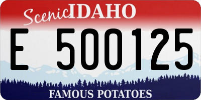 ID license plate E500125
