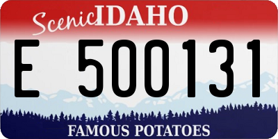 ID license plate E500131