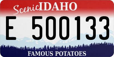ID license plate E500133