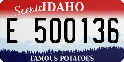 ID license plate E500136