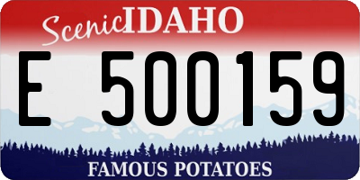 ID license plate E500159