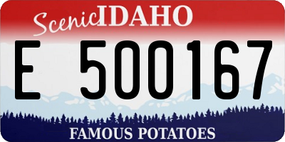 ID license plate E500167