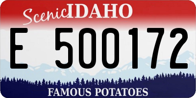 ID license plate E500172