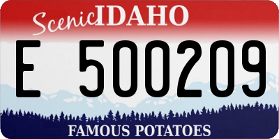ID license plate E500209