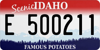 ID license plate E500211