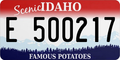 ID license plate E500217