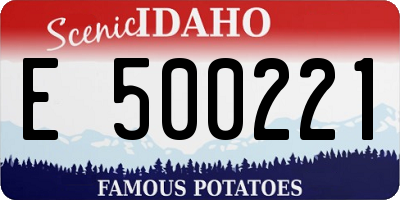 ID license plate E500221