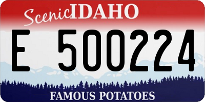 ID license plate E500224