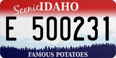 ID license plate E500231