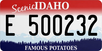 ID license plate E500232