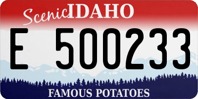 ID license plate E500233
