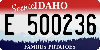 ID license plate E500236