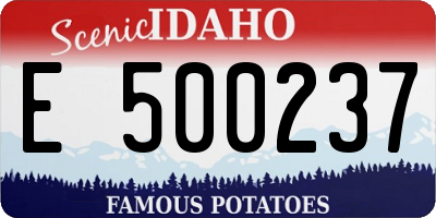 ID license plate E500237