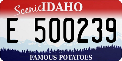 ID license plate E500239
