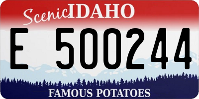 ID license plate E500244