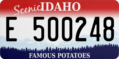 ID license plate E500248