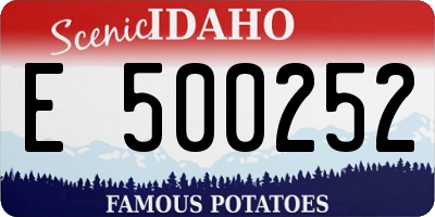 ID license plate E500252